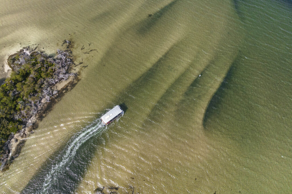 TA_NECI_WA_WOWWildernessEcoCruises_230322 DJI_0334