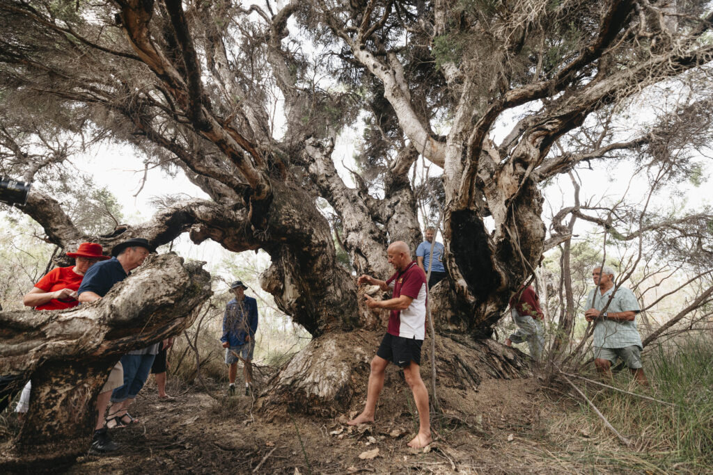 TA_NECI_WA_WOWWildernessEcoCruises_230322 SENG5837