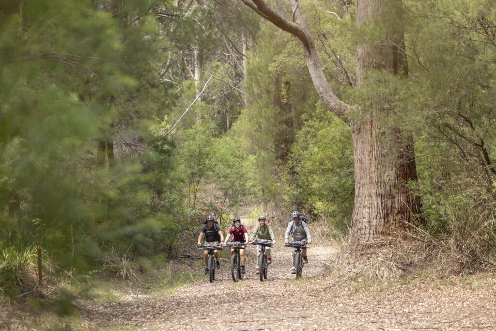 Wow Wilderness EcoAdventures (Base Imagery)_high res-104