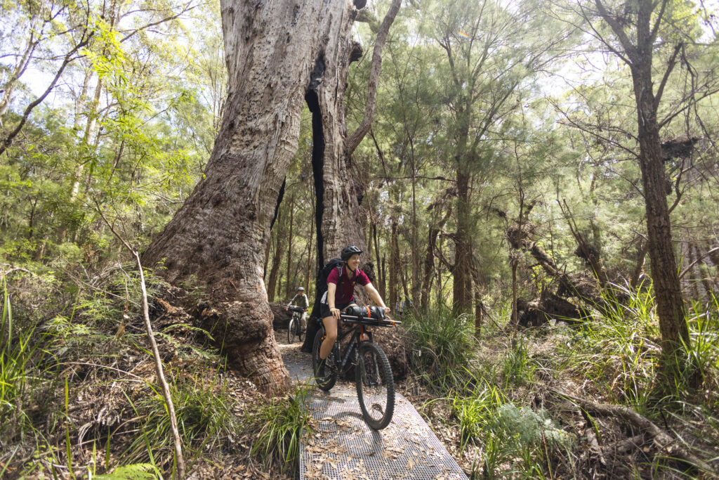 Wow Wilderness EcoAdventures (Base Imagery)_high res-115