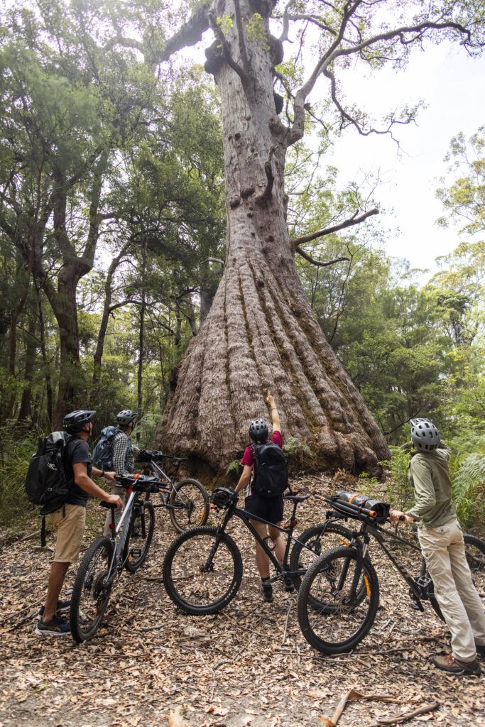 Wow Wilderness EcoAdventures (Base Imagery)_high res-119